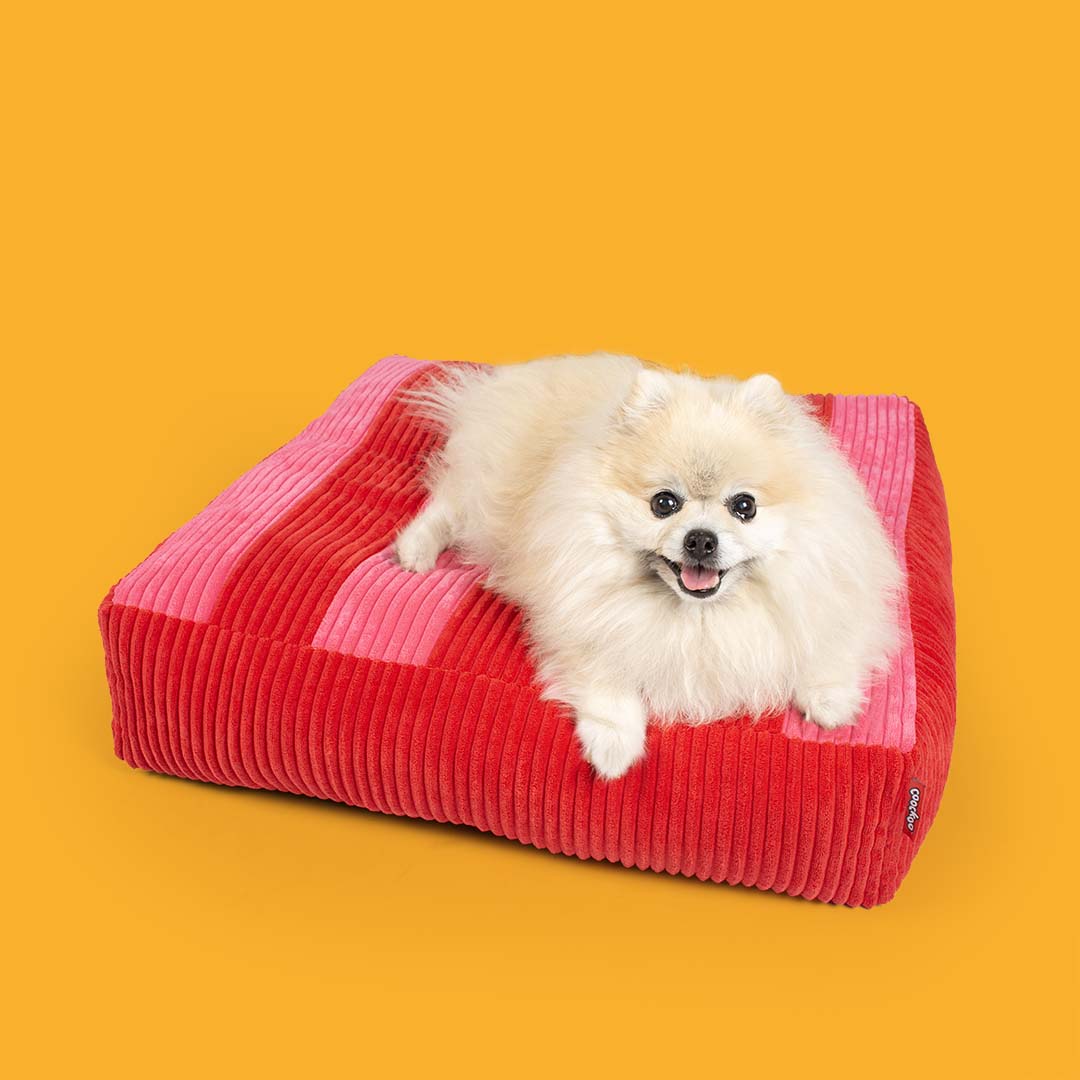 Cojín para perros COZY STRIPE Rojo/rosa - Sceneshot