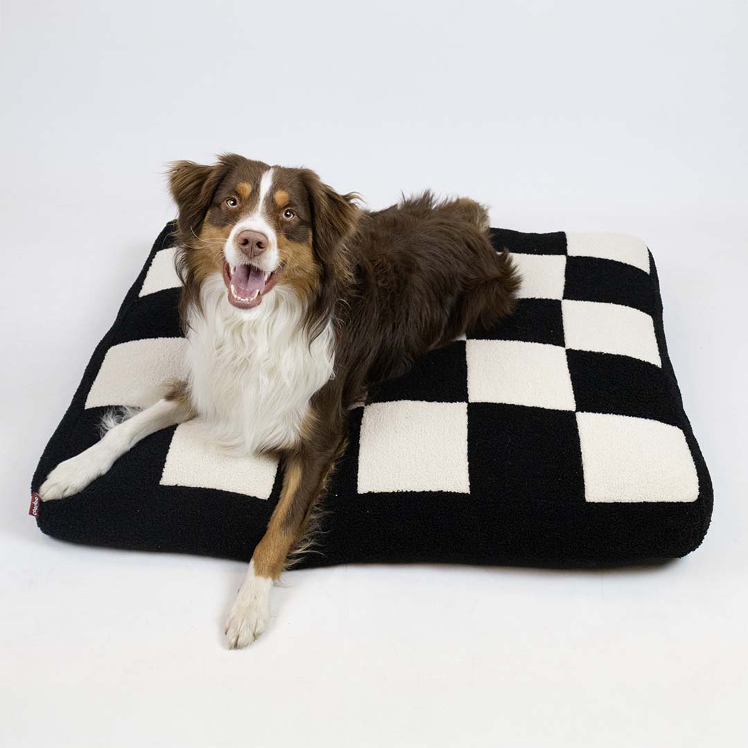 Dog cushion COZY BLOCK Black/white - Sceneshot 3