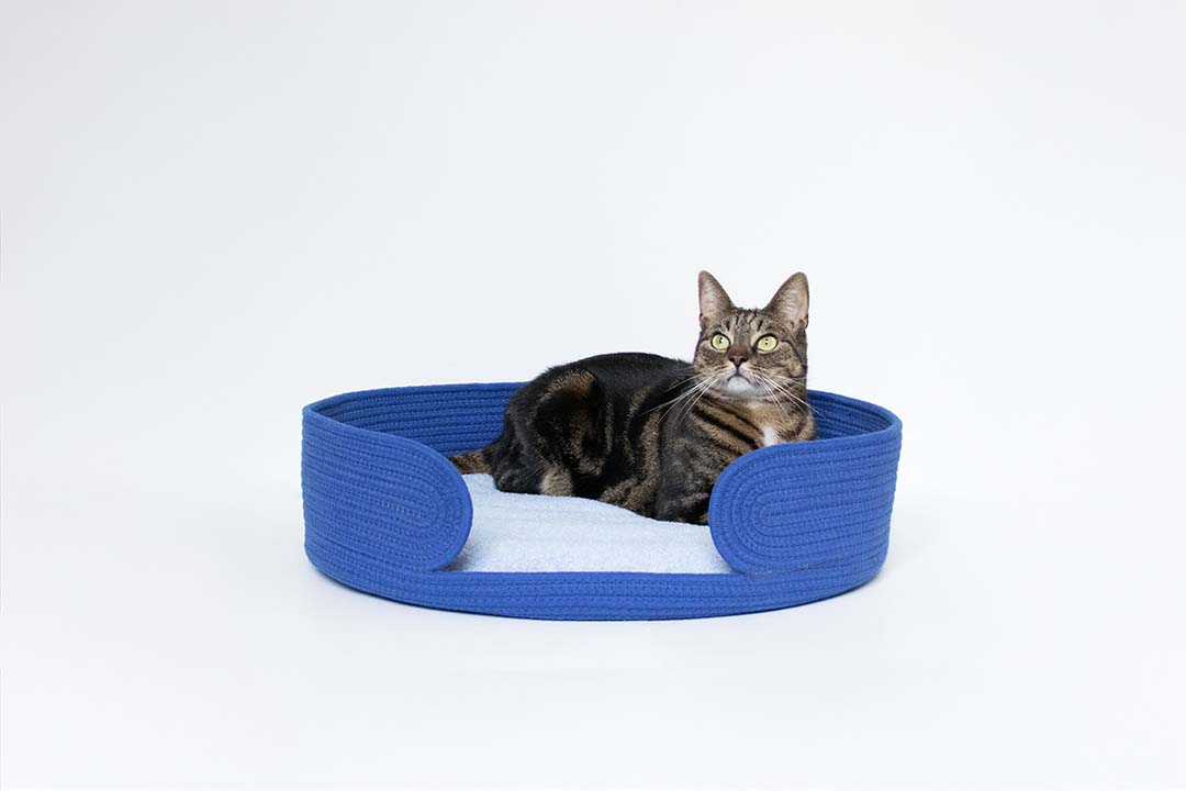 Kattenmandje LAZY LOUNGE Blauw - Sceneshot