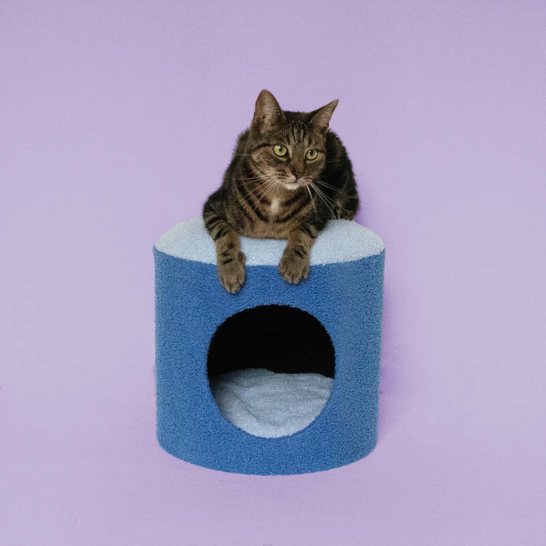 Cat house HAPPY HOUSE Blue - Sceneshot 3