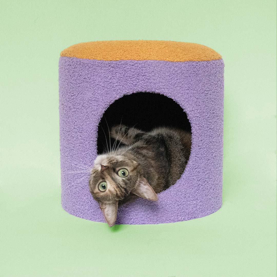 Kattenhuisje HAPPY HOUSE Geel/paars - Sceneshot
