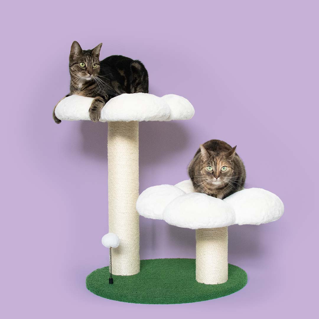 kratzbaum flower WillowWhisper Modern Rattan Cat Tree