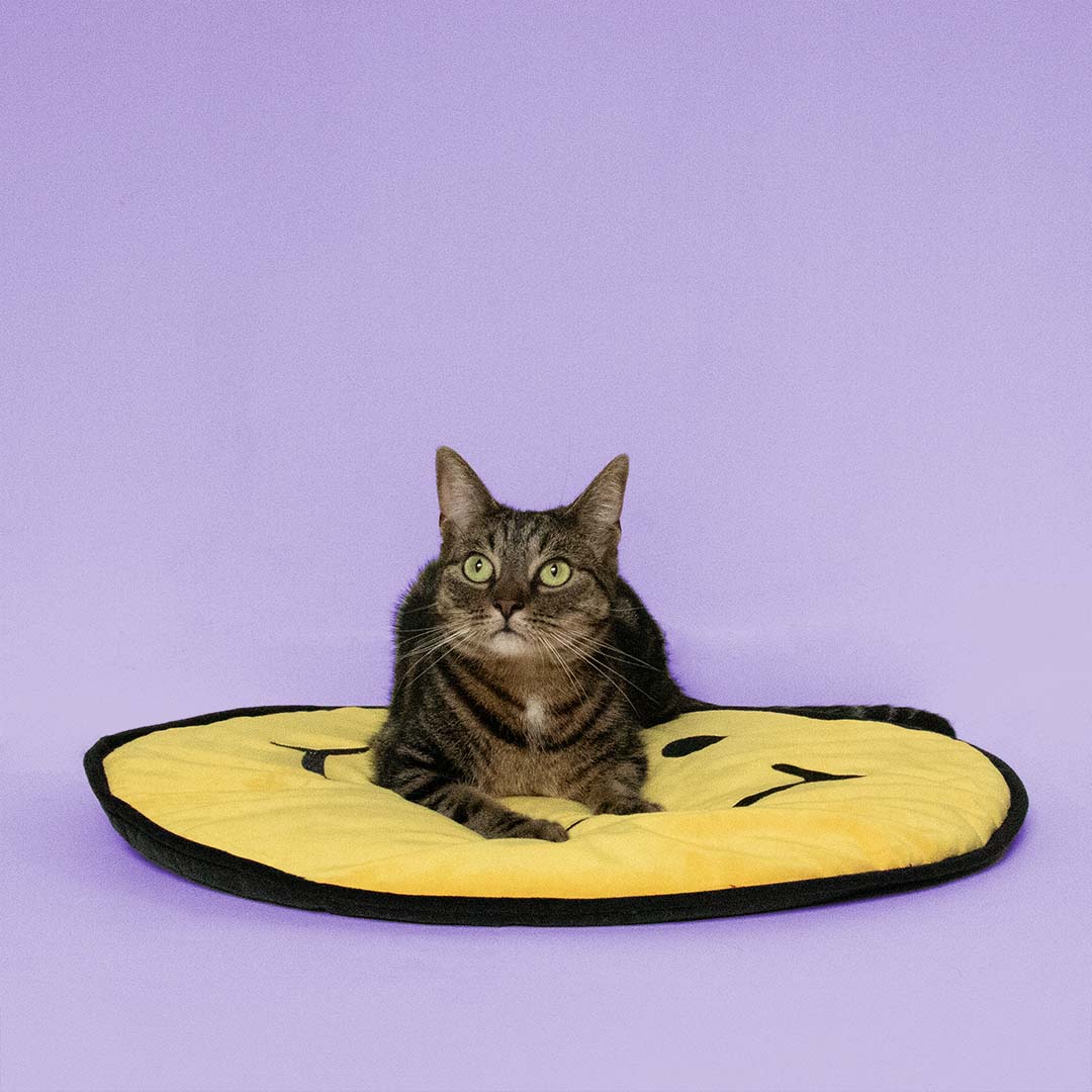 Plaid pour chat BIG SMILE Jaune - Sceneshot 2