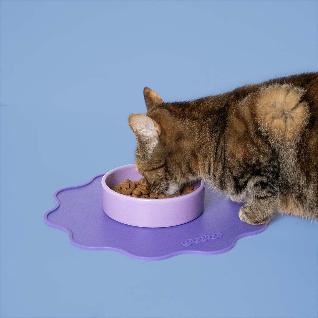 Placemat SPILL THE TEA rond Gemengde kleuren - Sceneshot 2