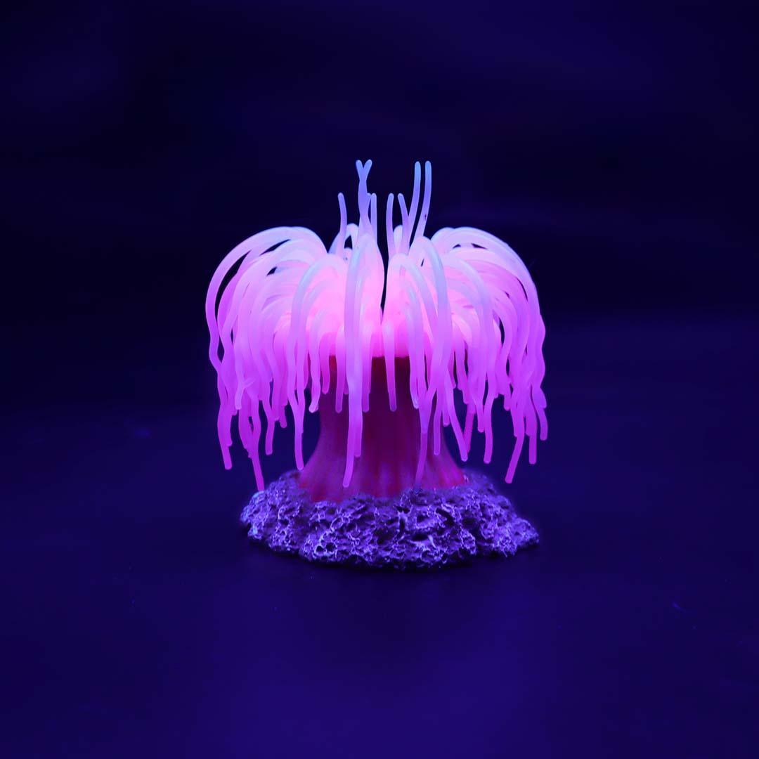 Plastic plant anemone Pink - Detail 1