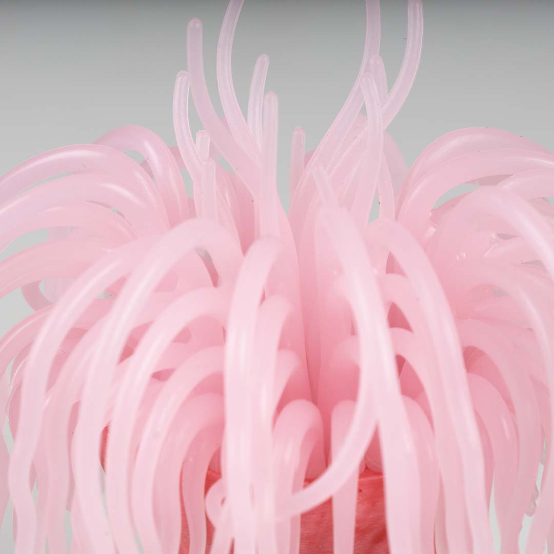 Plastic plant anemone Pink - Detail 2