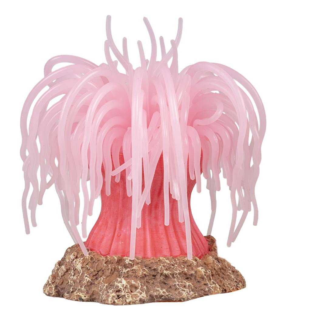Plastic plant anemone Pink - Facing