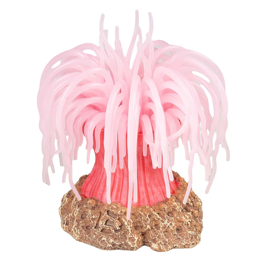 Plastic plant anemone Pink - Product shot
