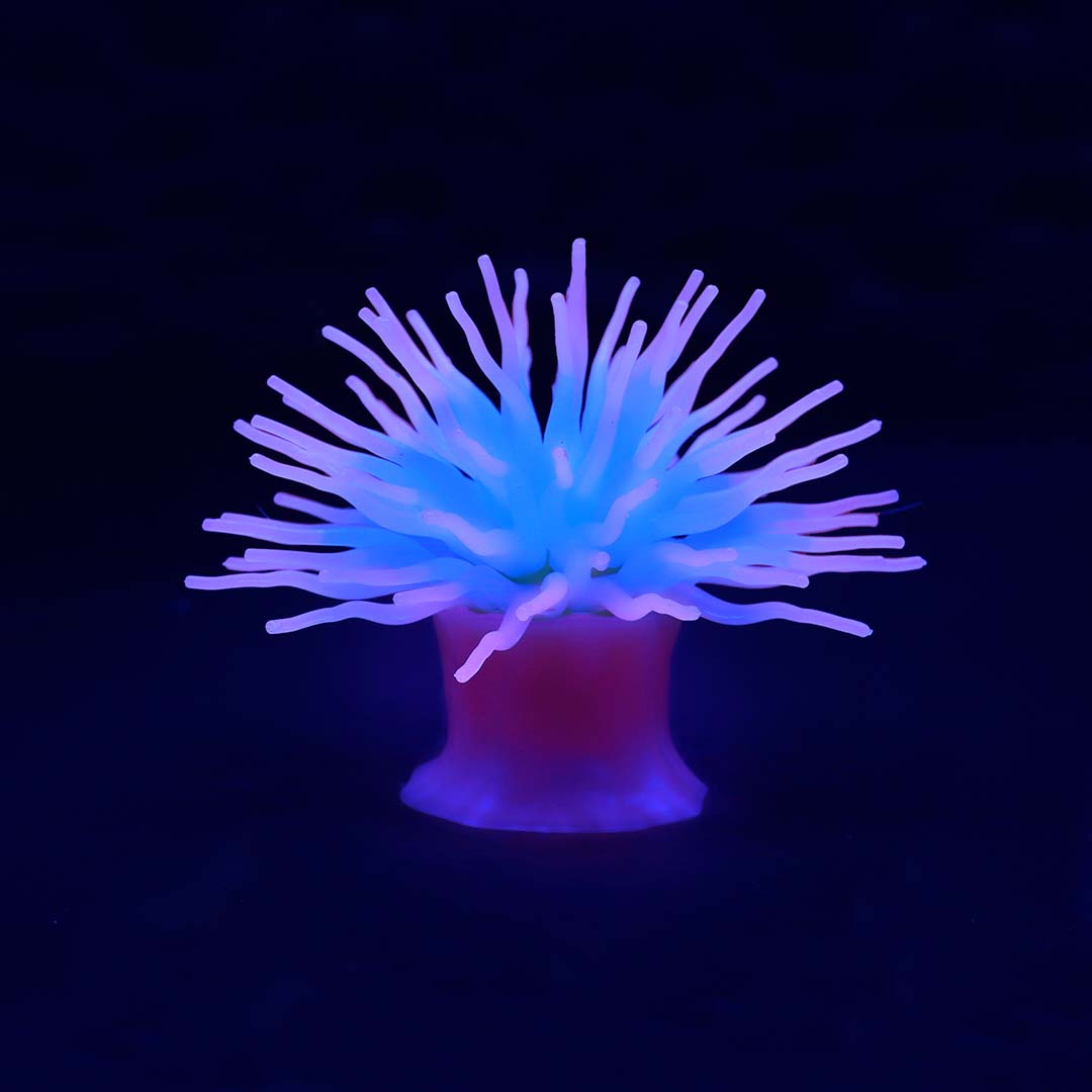 Plastic plant anemone with suction cup Pink - Laroy Group