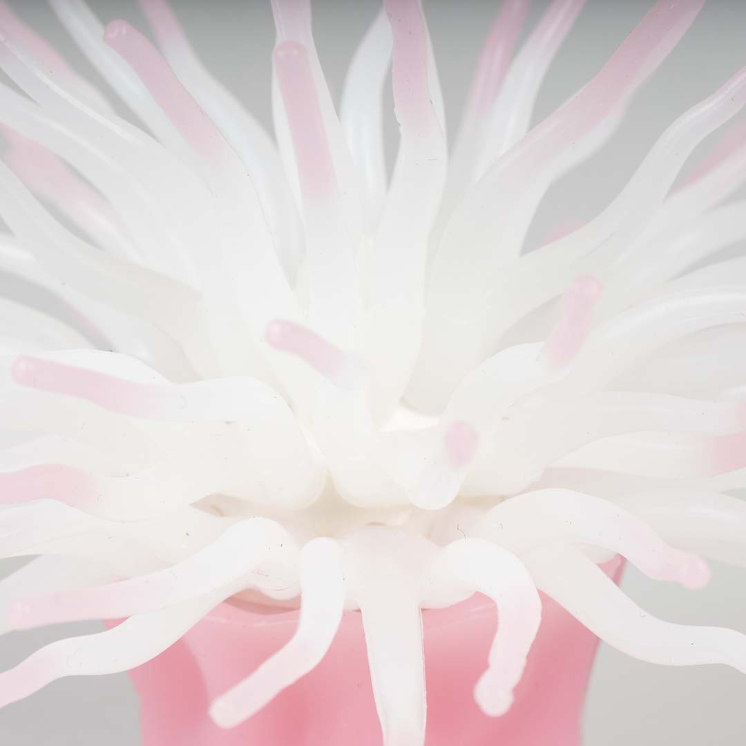 Planta artificial anémona con ventosa Rosa - Detail 2