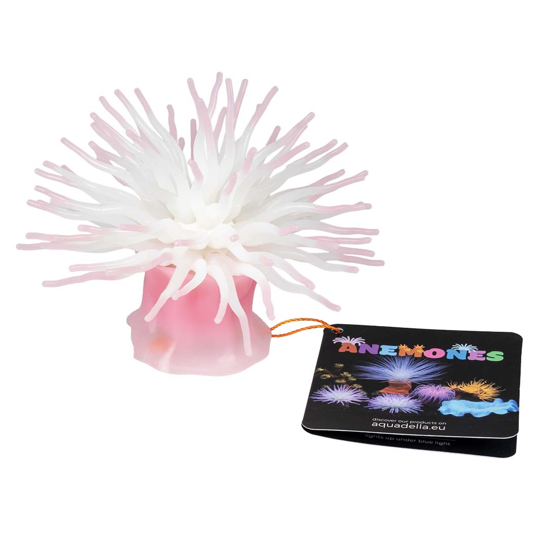 【新品未使用/匿名配送】ウニョク ANEMONE 限定キャップ Plastic plant anemone with suction cup Pink - Laroy Group