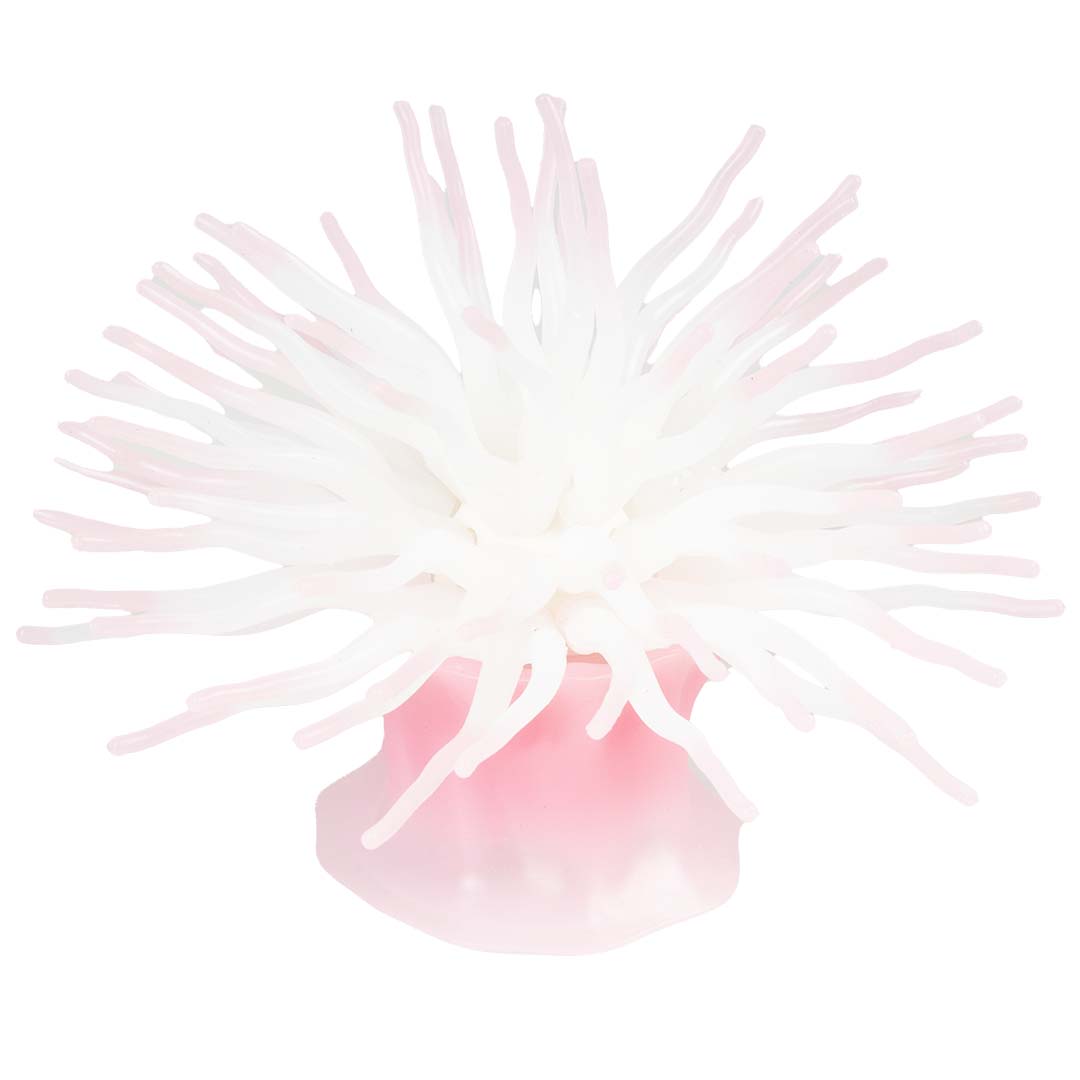 Plastic plant anemone with suction cup Pink - Laroy Group