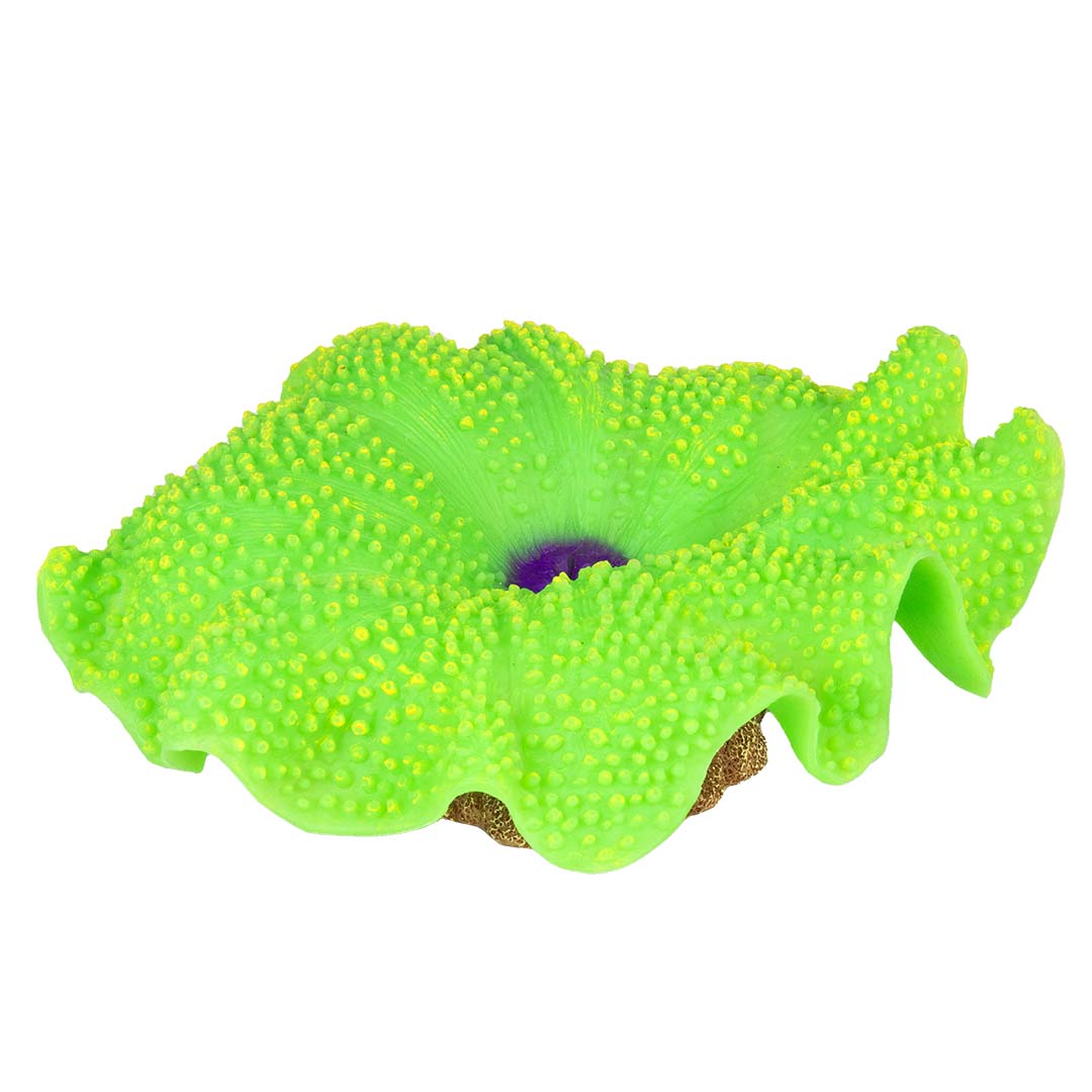 Kunstplant anemoon tapijt Groen - Product shot