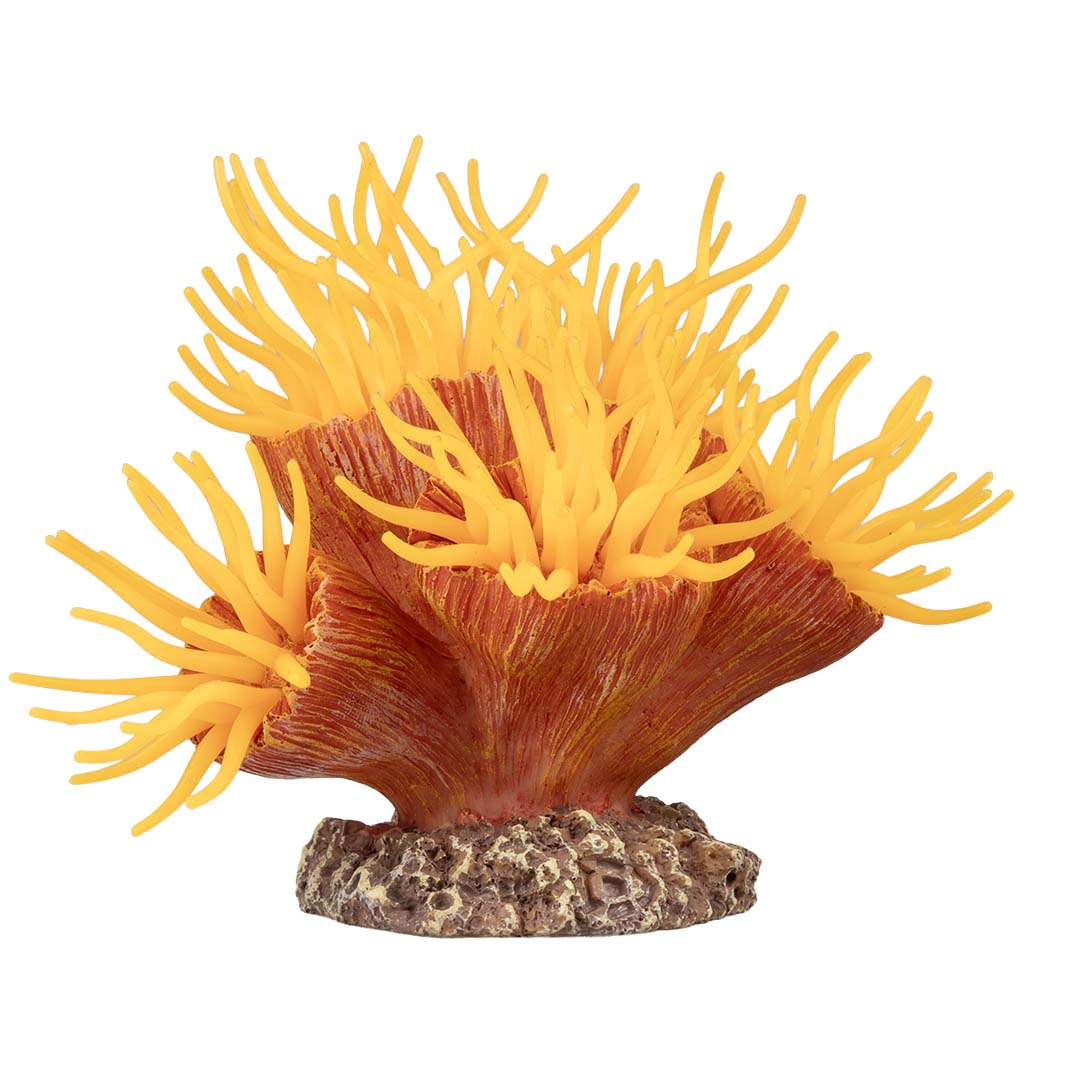 Kunstplant euphyllia Oranje - Facing