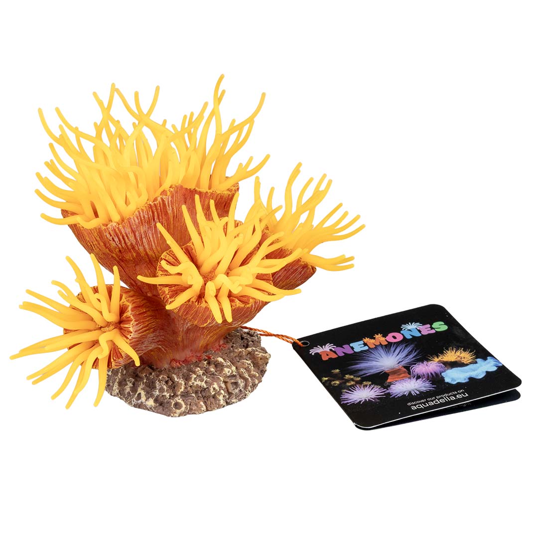 Kunstplant euphyllia Oranje - Verpakkingsbeeld