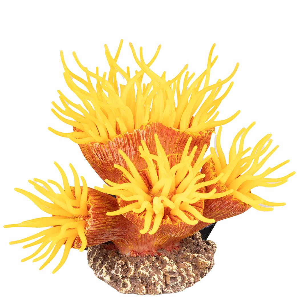 Kunstplant euphyllia Oranje - Product shot