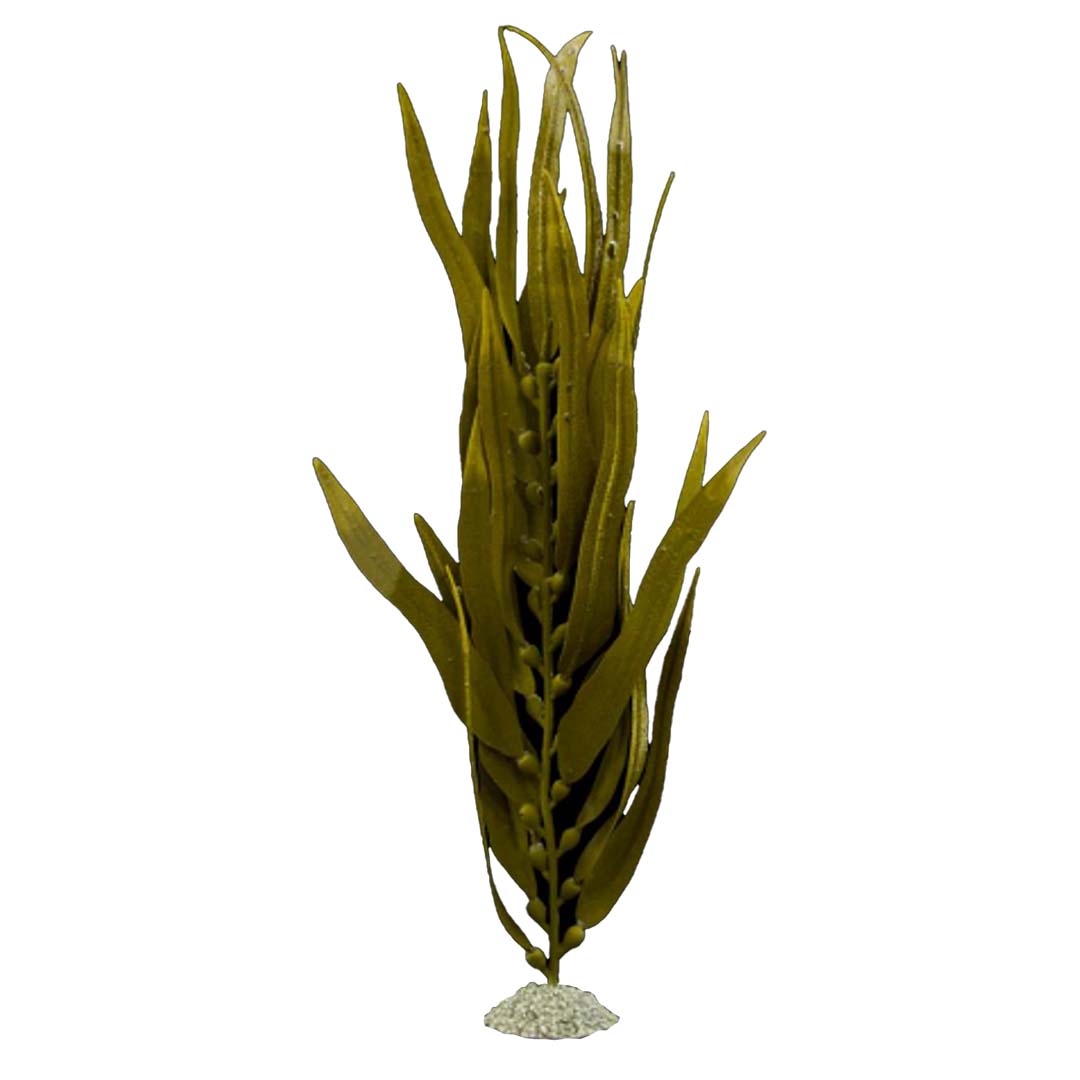 Planta artificial kelp Marrón - <Product shot>