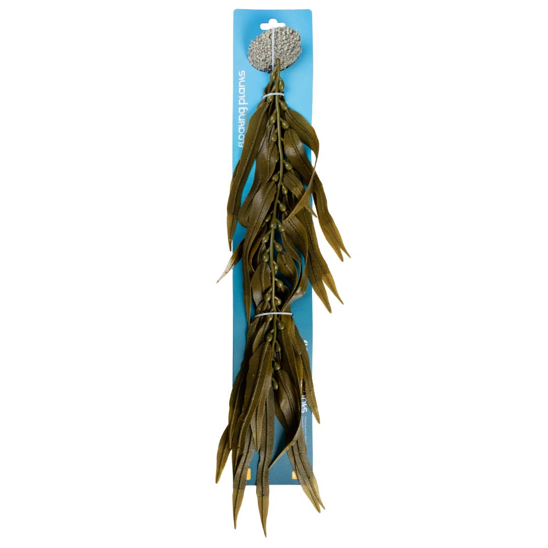 Planta artificial kelp Marrón - Verpakkingsbeeld