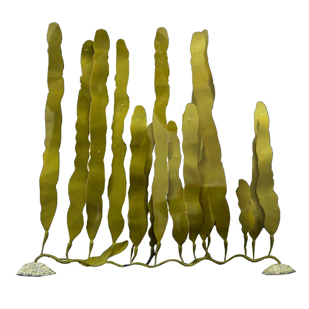 Kunstplant caulerpa - <Product shot>