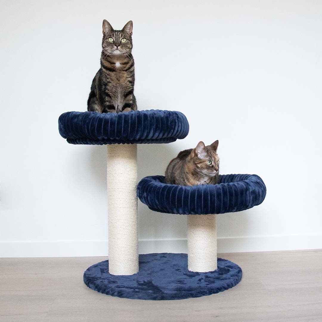 Scratching post Cordoba Dark blue - Sceneshot