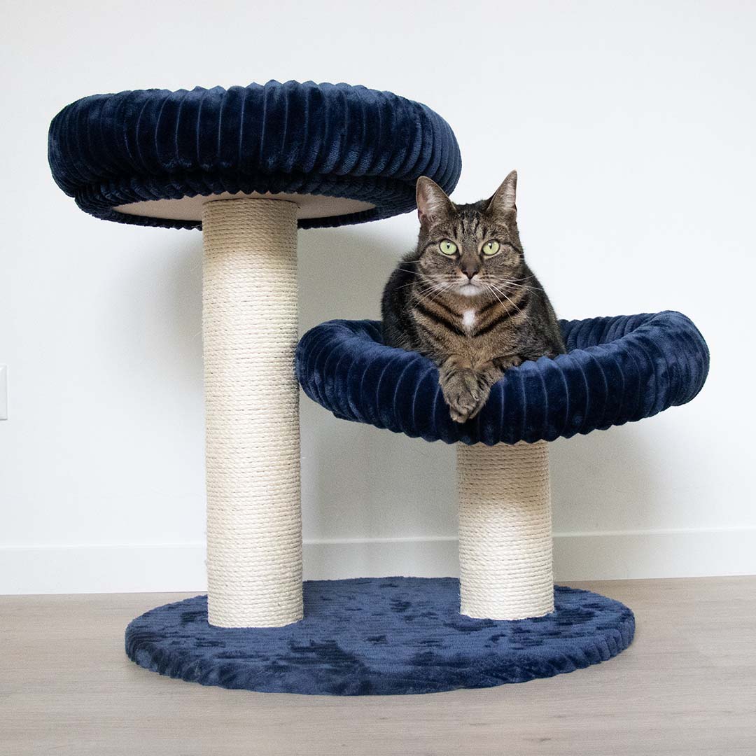 Scratching post Cordoba Dark blue - Sceneshot 3