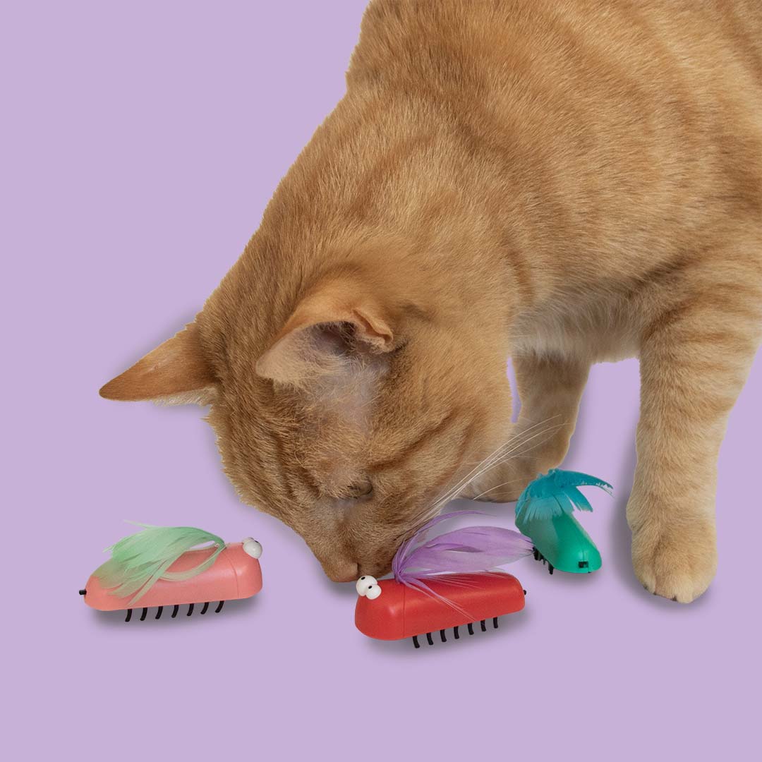 Cat toy Bug Me Not Mixed colors - Laroy Group