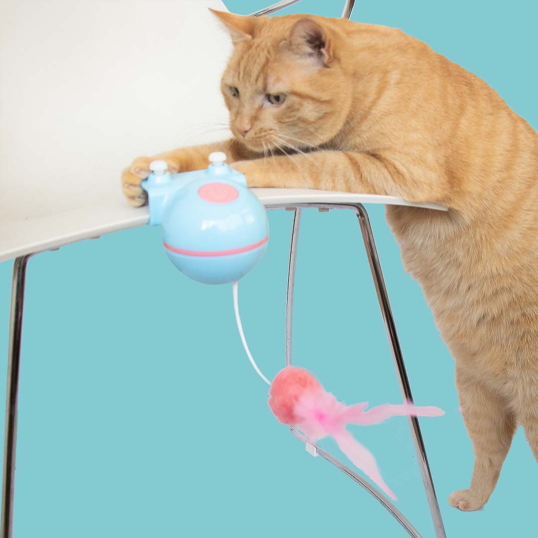 Katzenspielzeug Reckless Roxy Blau/rosa - Sceneshot