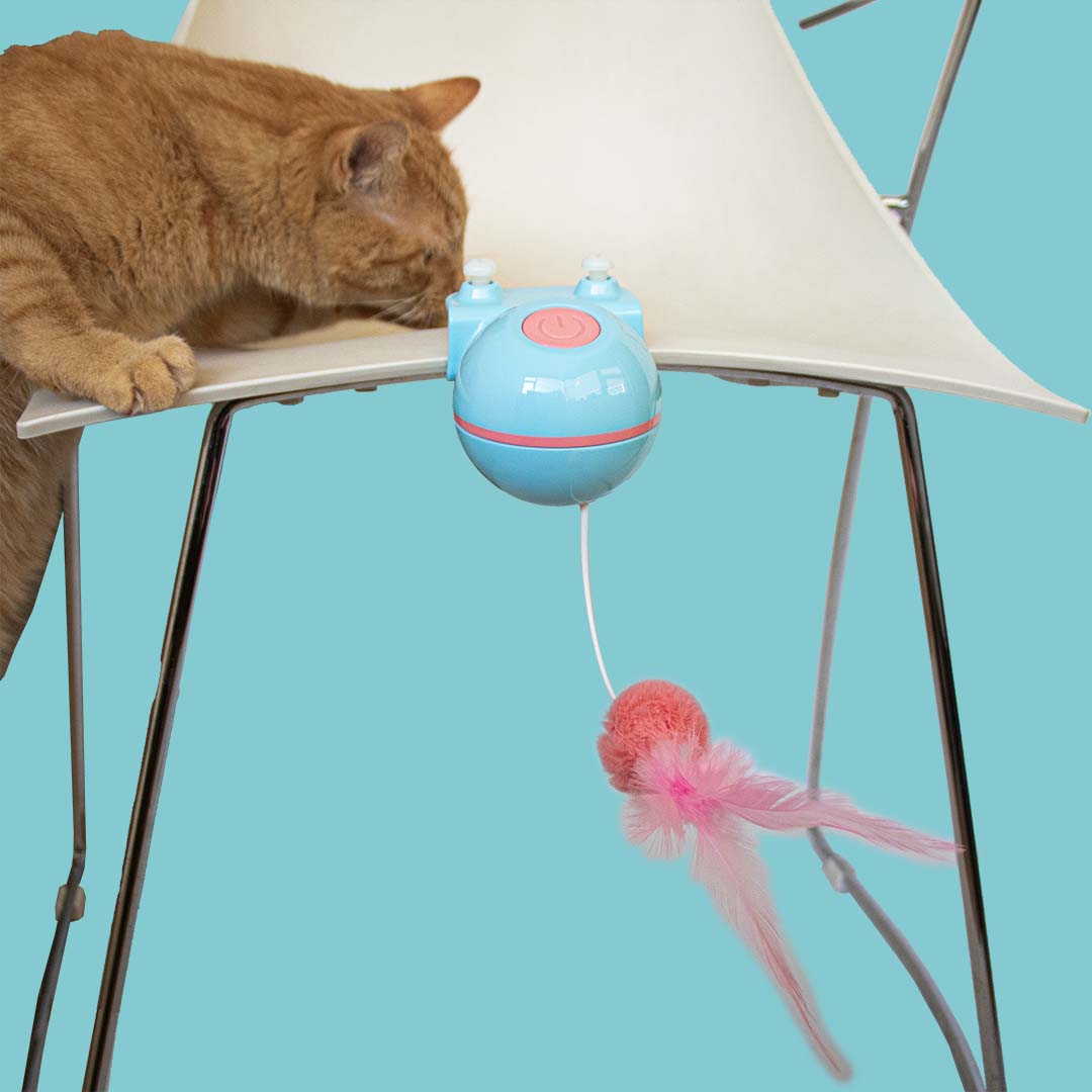 Katzenspielzeug Reckless Roxy Blau/rosa - Sceneshot 2