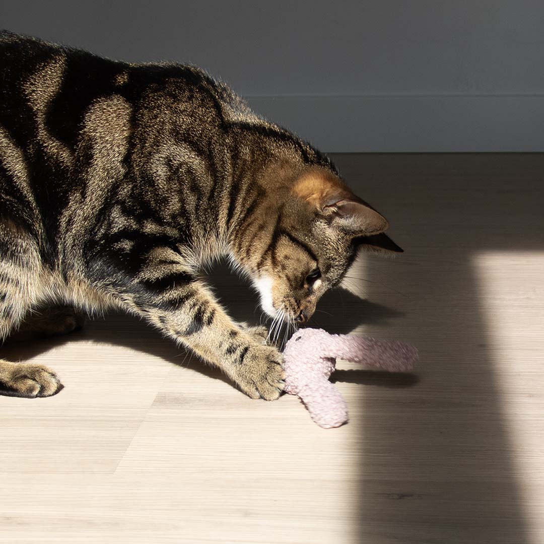 CLOVER cat toy Mixed colors - Laroy Group