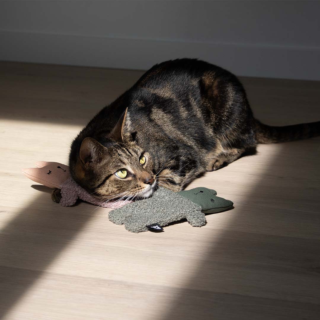 ALFIE cat toy Green - Sceneshot 2