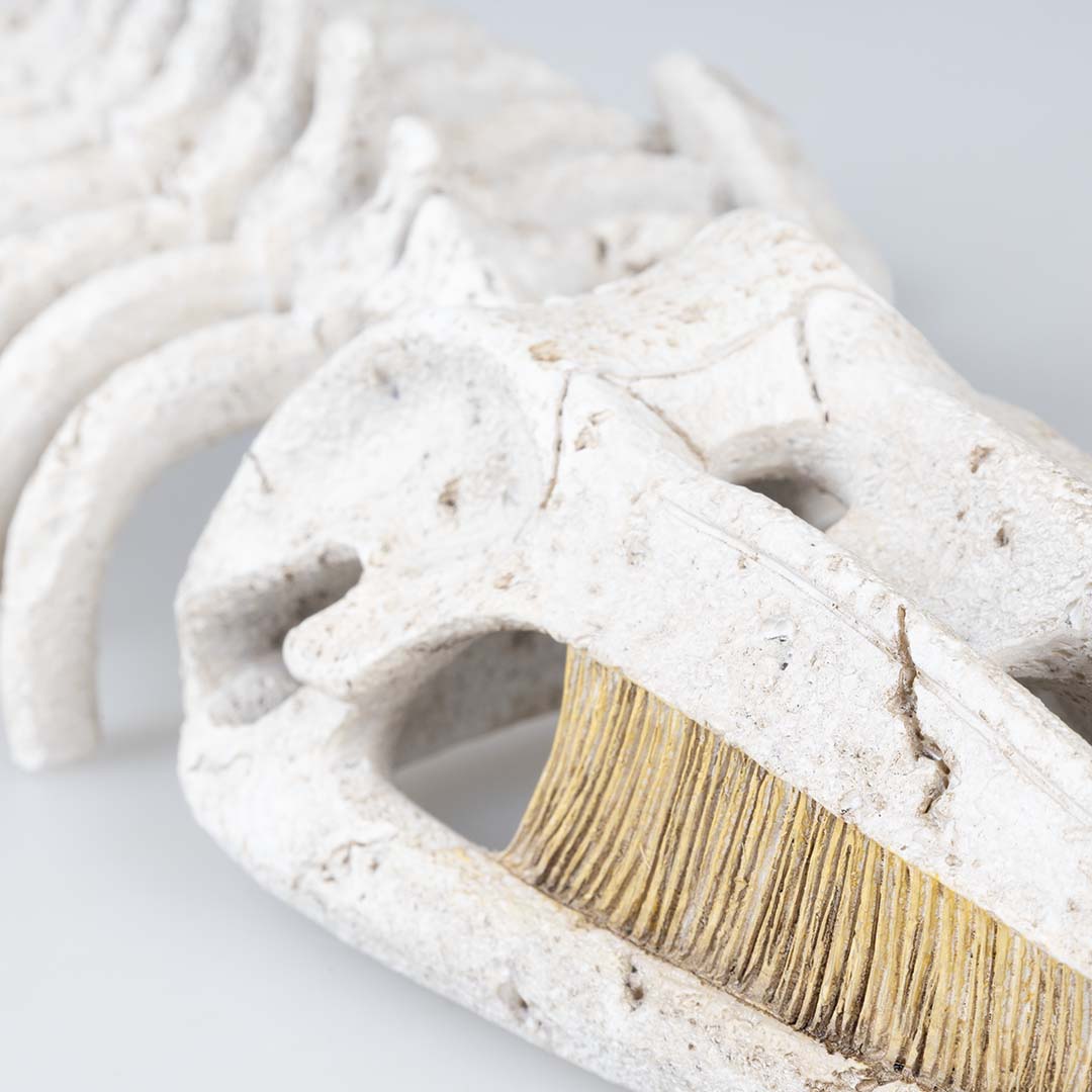Walvisskelet Beige - Detail 3