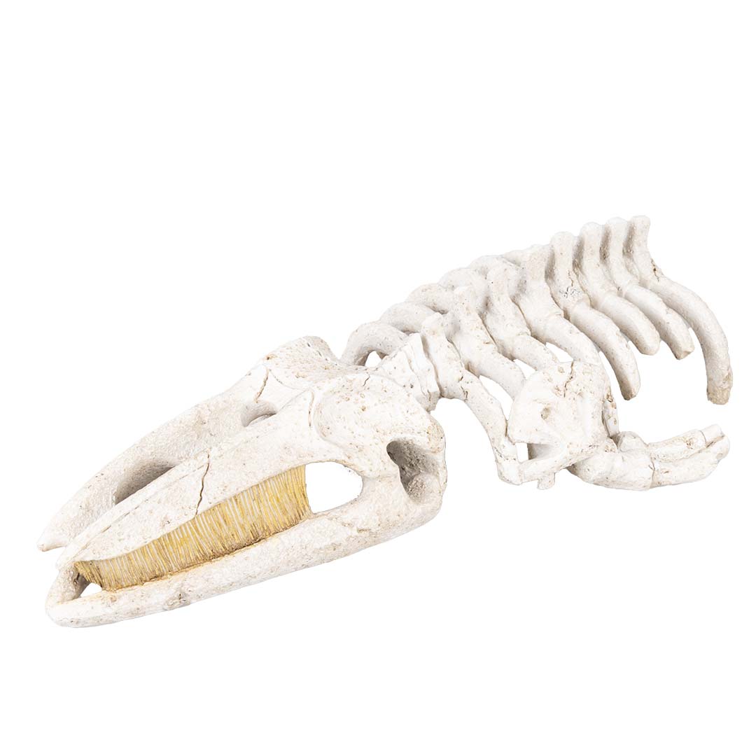Walvisskelet Beige - <Product shot>