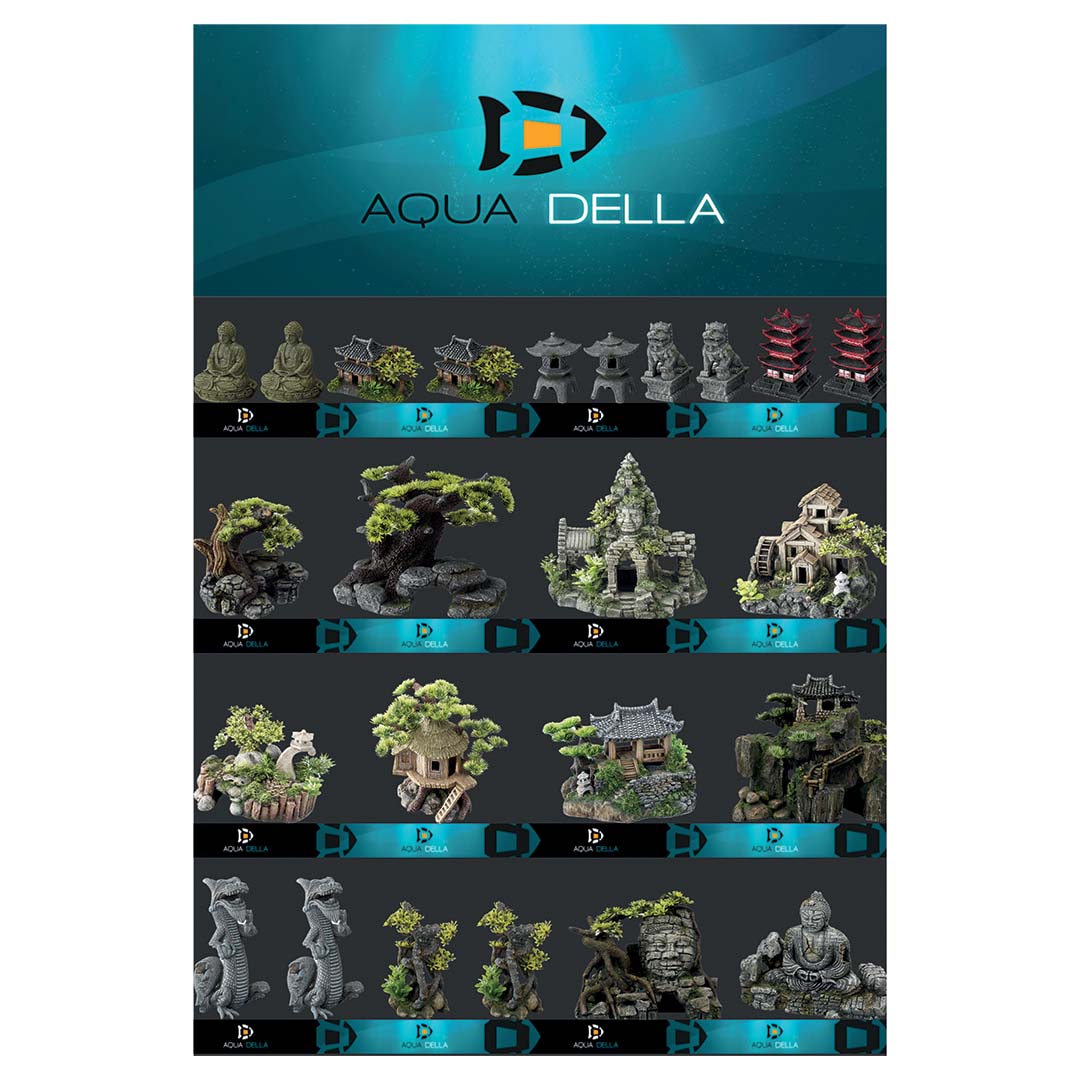 Concept Aqua Della Asian - Product shot