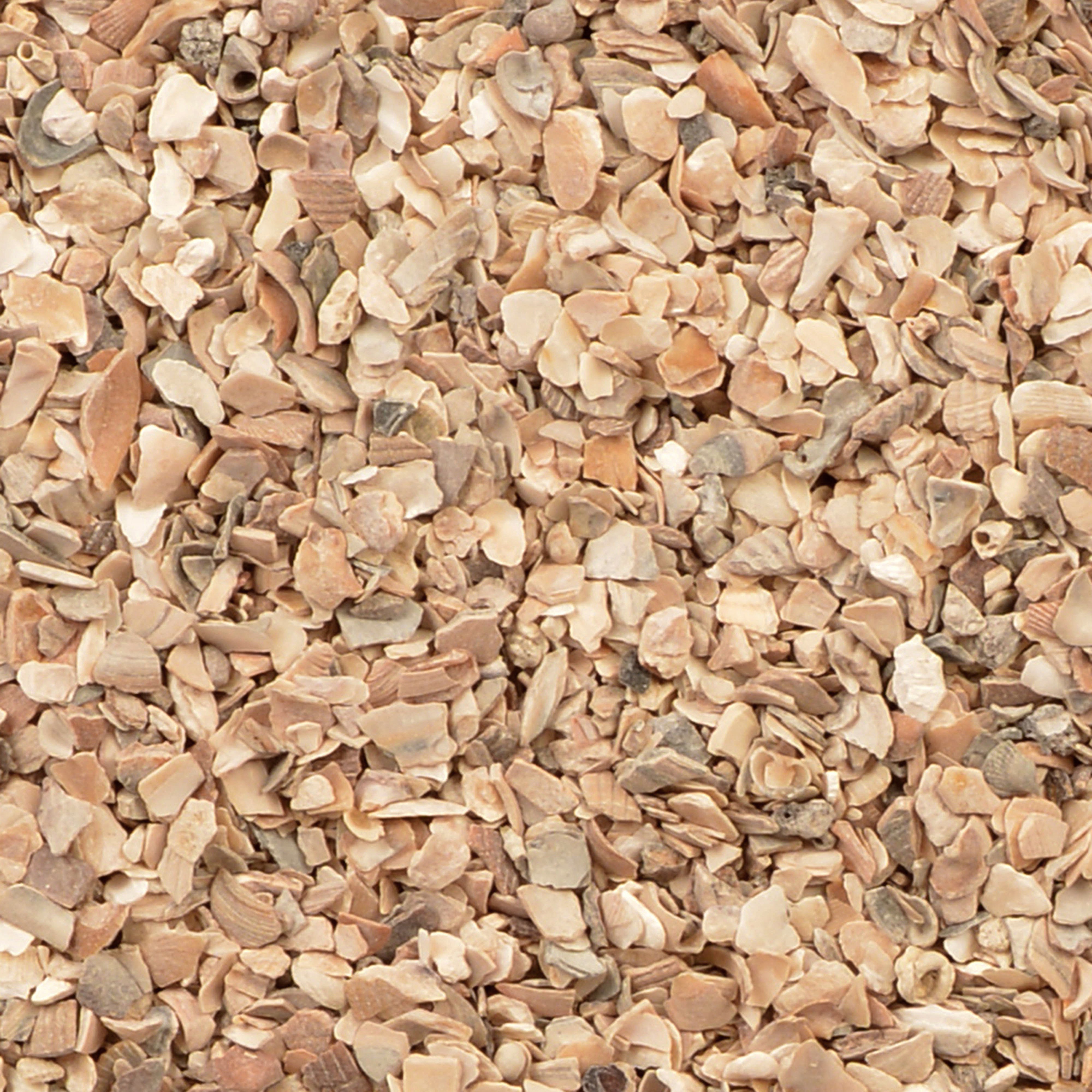 Oyster shells coarse 2-5mm nr1 p50 - Product shot