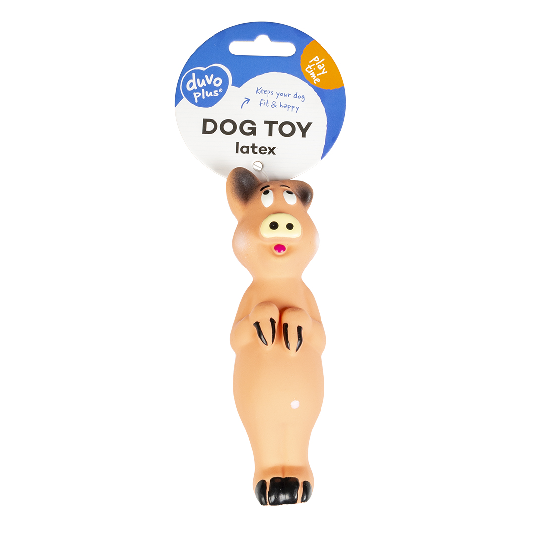 Latex toy funny pig multicolour - Facing