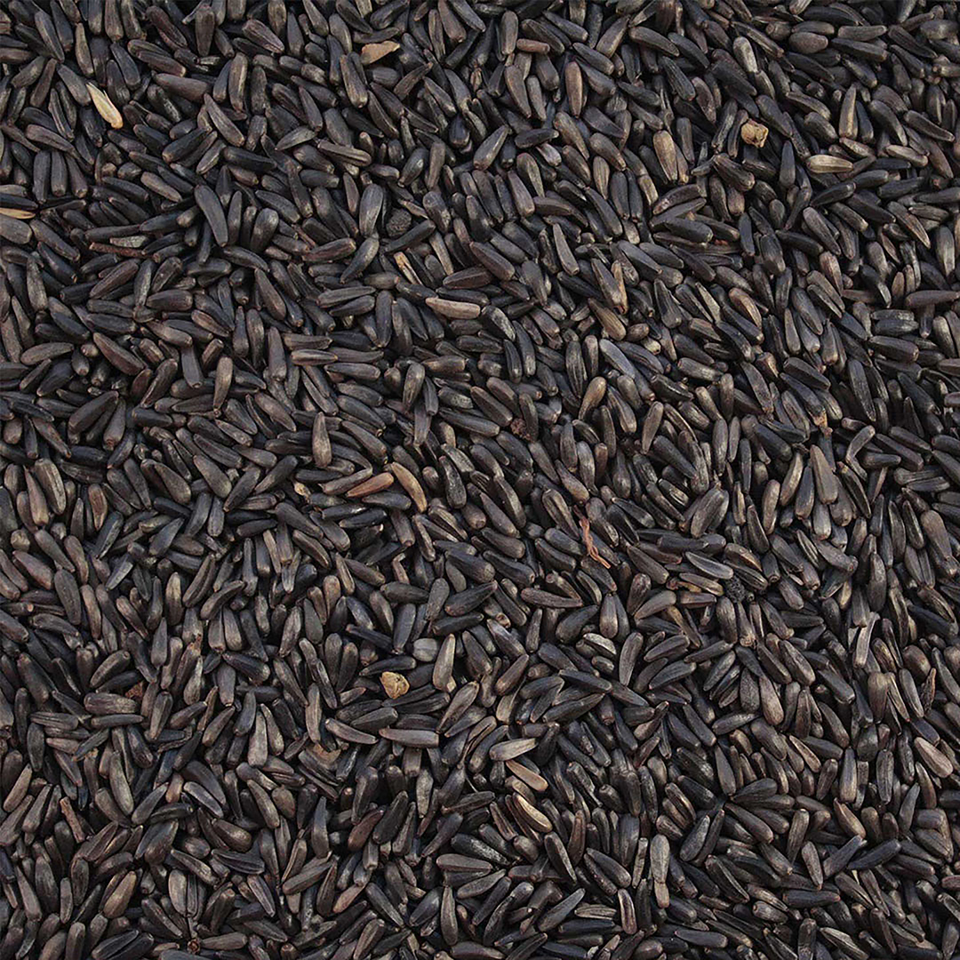 Niger seed extra - Foodshot