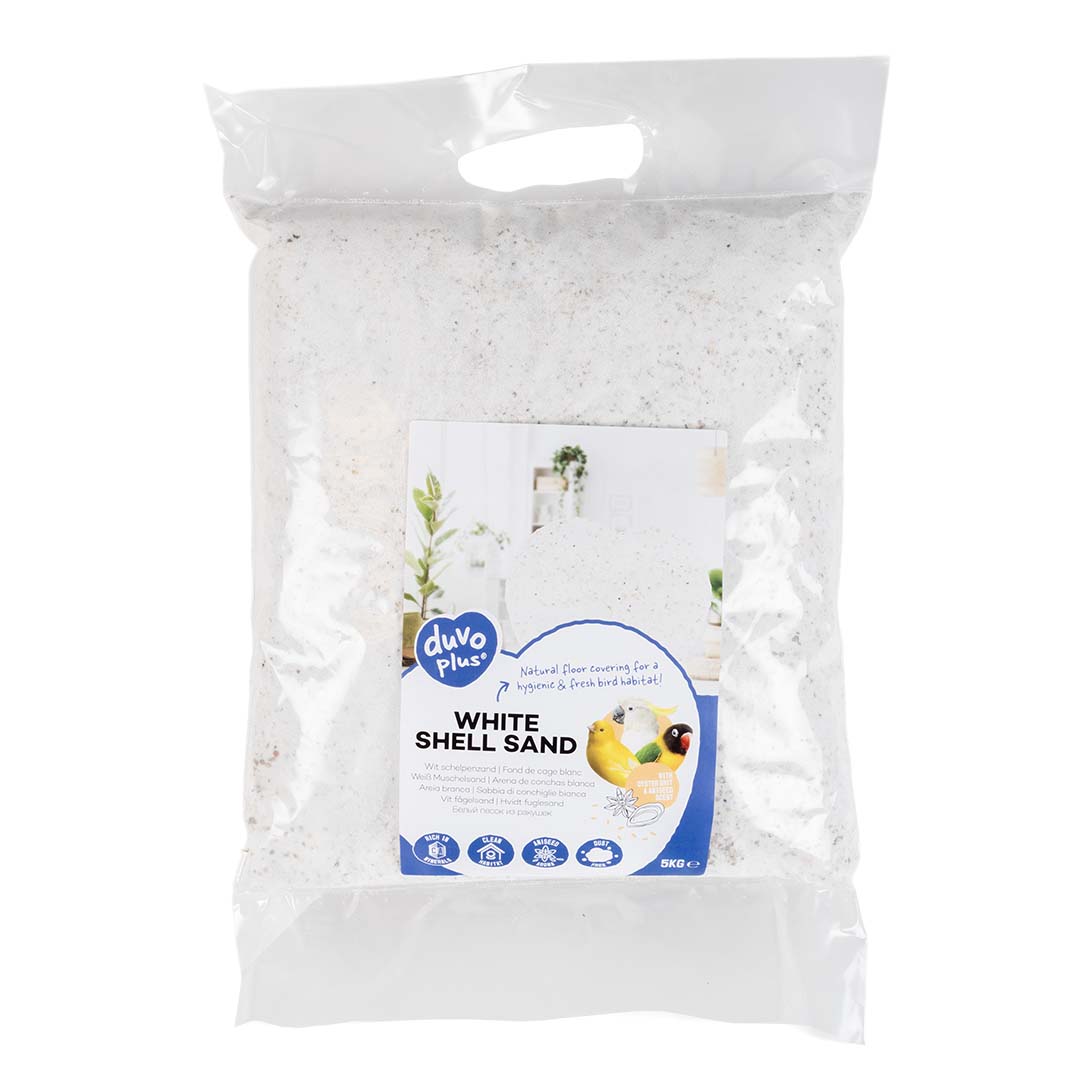 White Shellsand - Facing