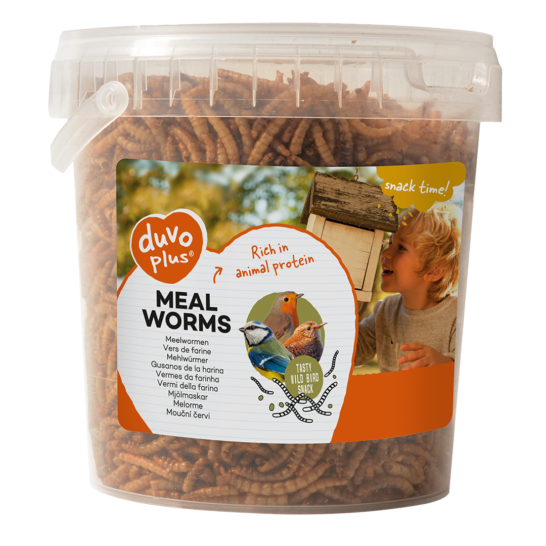 Meal worms - Product shot