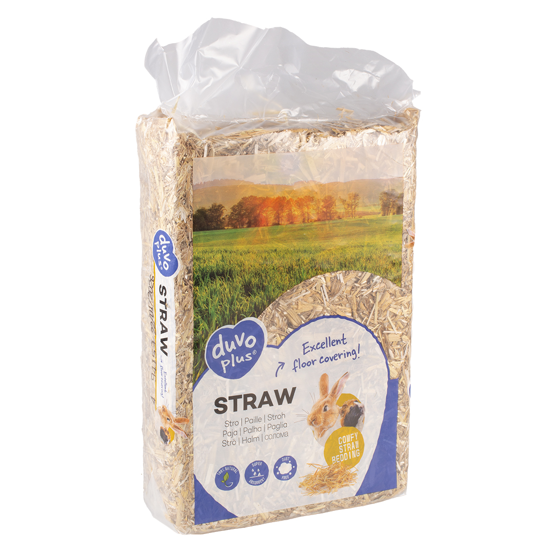 Straw - <Product shot>
