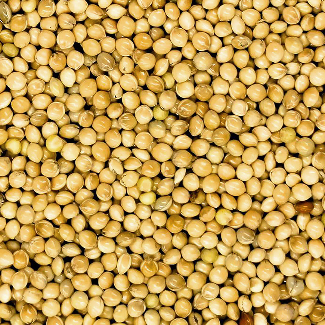 White millet extra - Product shot