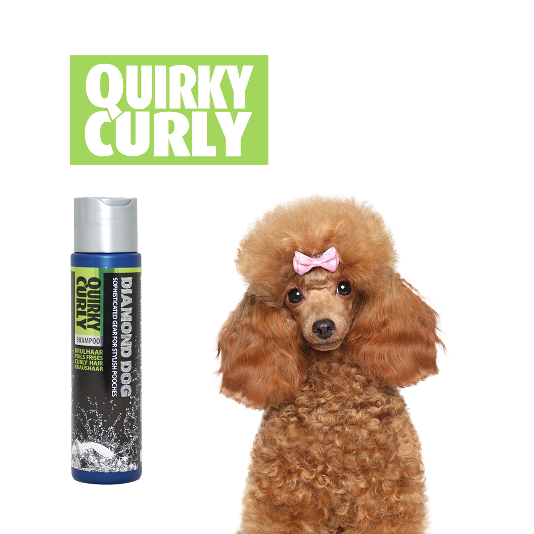 Diamond dog shampoo curly hair - Laroy Group