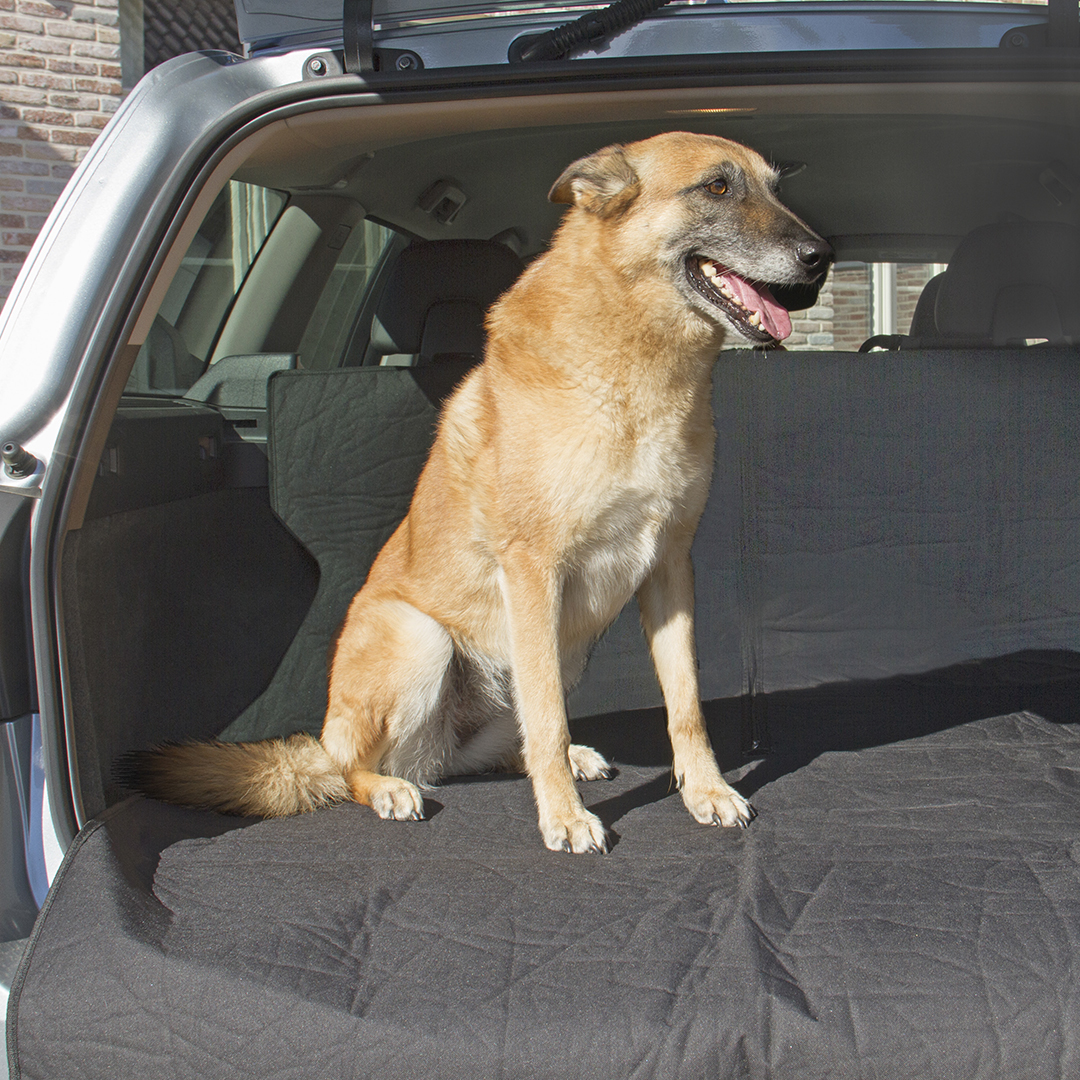 Protection de coffre de voiture pour chien imperméable avec motif
