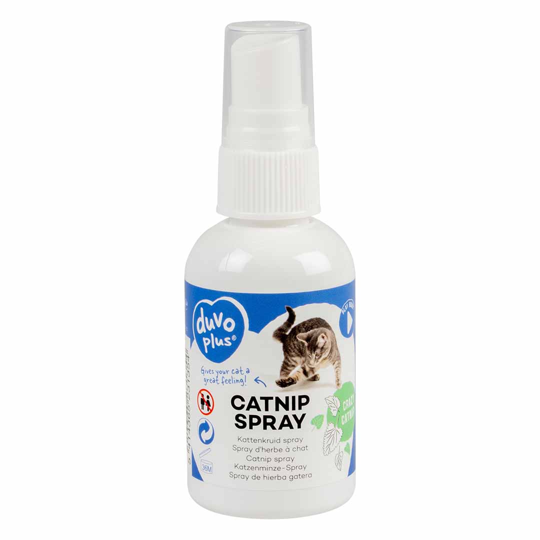 CATNIP SPRAY - Facing