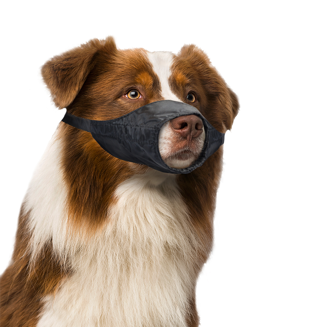 Dog muzzle nylon - Sceneshot