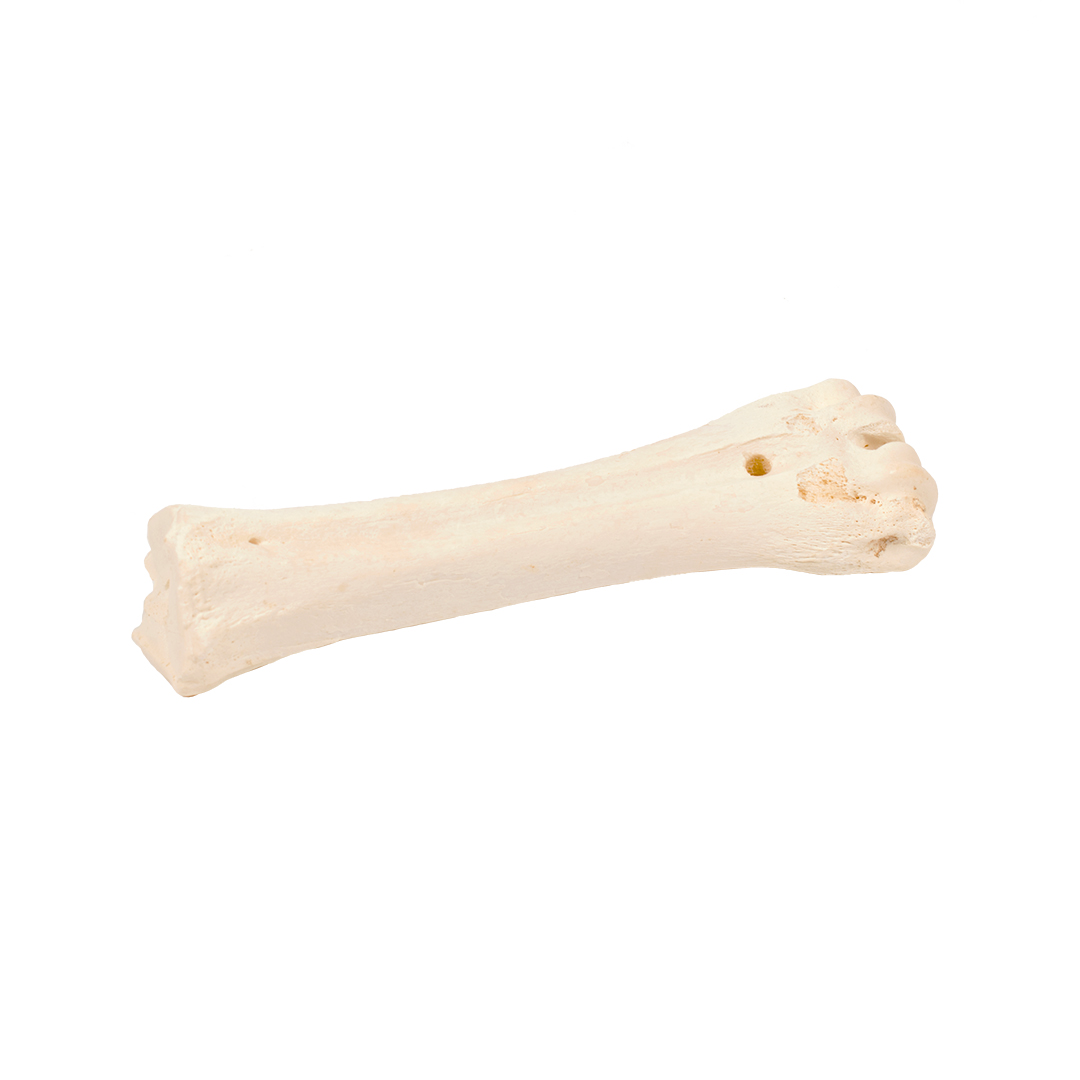 Bone! rinderknochen kalzium - Product shot