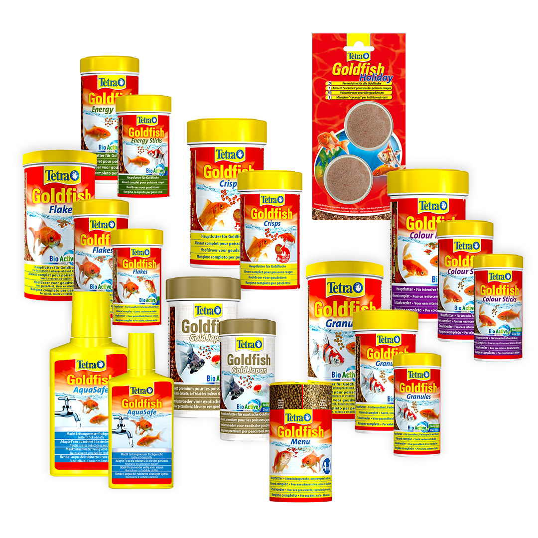 Concept tetra goldfish - Product shot