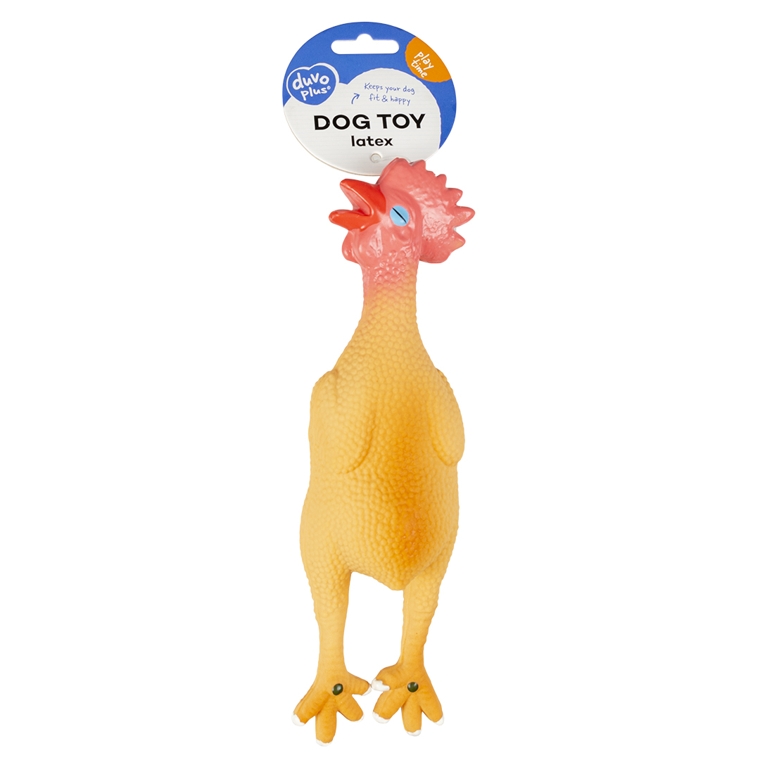 Latex squeaky chicken - Facing