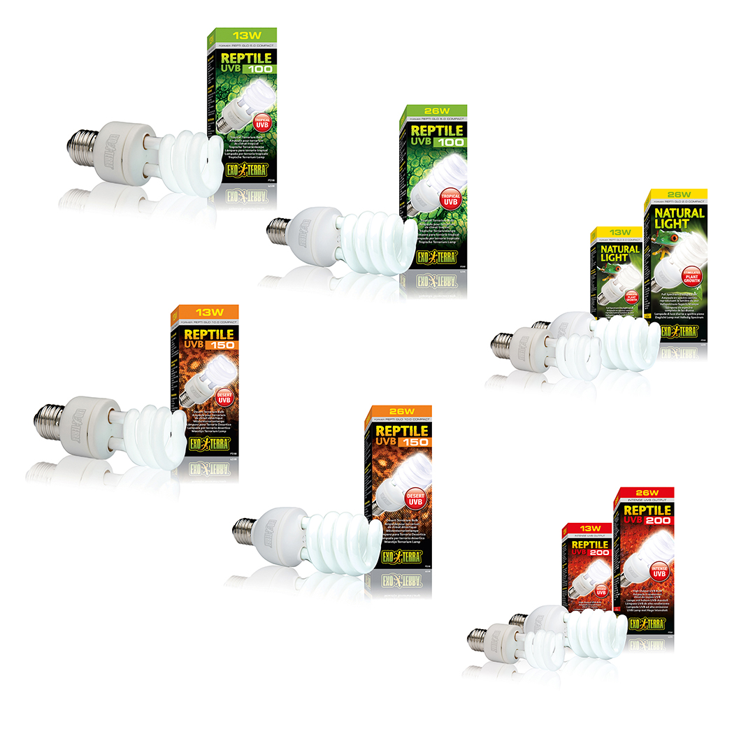 Concept EXo Terra spaarlampen - Product shot