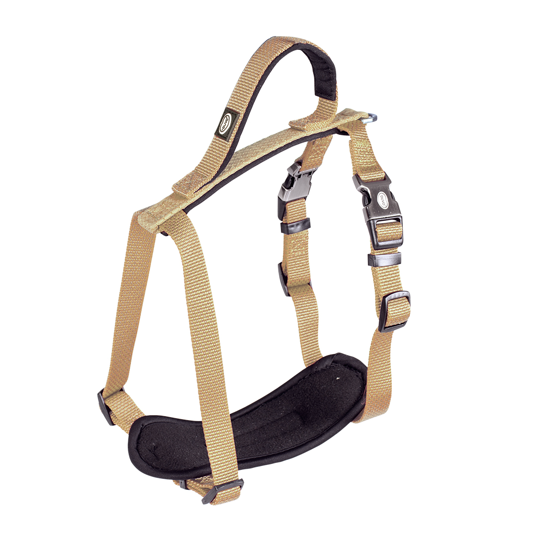 Explor north harness nylon taupe - <Product shot>