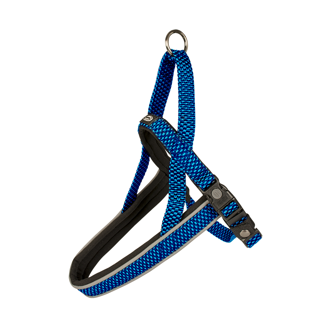 Explor east harnas nylon blauw - <Product shot>